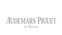 audemars logo grey